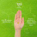 Deal Supplement Bioactive Vitamin B Complex 240 Veggie Capsules - Methylated Multivitamin B Complex & Esterified Vitamin C High Potency & Easy Absorption Immune Energy & Metabolism Supplement Non-GMO