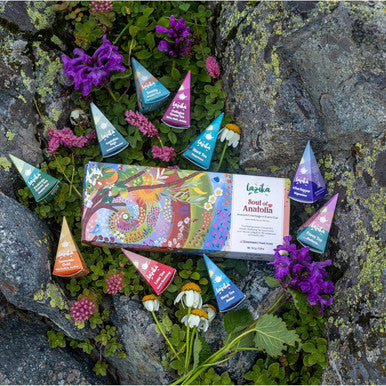 Lazi ka Lazika Herbal Tea Variety Pack Holistic Wellbeing Tea Assortment Tea Sampler Set Assorted Tea Variety Pack with Pyramid Tea Bags Herbal Teas Tea Set 10 Counts