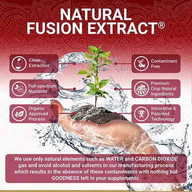 Pomegranate Extract Supplement Ellagic Acid High Punicalagins USDA Organic Pomegranate Supplement Blend of Pomegranate Fruit Seeds and Peel Extract 60 Vegan Pomegranate Capsules