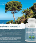 Purely Holistic Pine Bark Extract 350Mg 180 Vegan Capsules 95% Proanthocyanidins - French Maritime Pine Bark Extract - Non Gmo & Pesticide Free Antioxidant Supplement