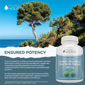 Purely Holistic Pine Bark Extract 350Mg 180 Vegan Capsules 95% Proanthocyanidins - French Maritime Pine Bark Extract - Non Gmo & Pesticide Free Antioxidant Supplement