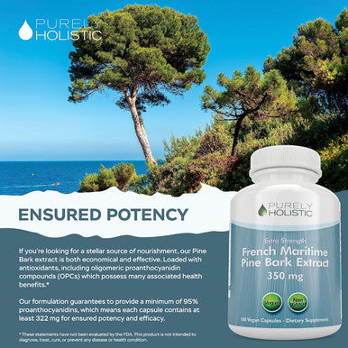 Purely Holistic Pine Bark Extract 350Mg 180 Vegan Capsules 95% Proanthocyanidins - French Maritime Pine Bark Extract - Non Gmo & Pesticide Free Antioxidant Supplement