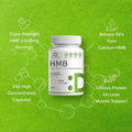 Deal Supplement Ultra Strength HMB Supplements 3000mg Per Serving 240 Capsules | Third Party Tested | Supports Muscle Growth Retention & Lean Muscle Mass | Fast Workout Recovery