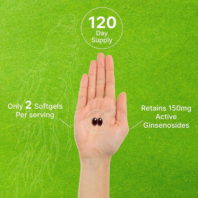 Deal Supplement Korean Red Panax Ginseng Root Extract 7500mg Serving 240 Softgels 150mg Active Ginsenosides