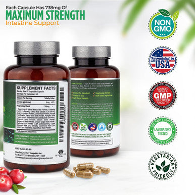Intestinepro Intestine Support For Humans With Non-Gmo Wormwood, Black Walnut, Echinacea + 15 More Premium Ingredients, 60 Vegeta