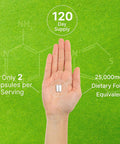 Deal Supplement L Methylfolate 15mg Per Serving 240 Veggie Capsules Active Folic Acid Form (5-MTHF) Bioavailable Methylated Folate Prenatal Energy & Brain Support Supplement Non-GMO