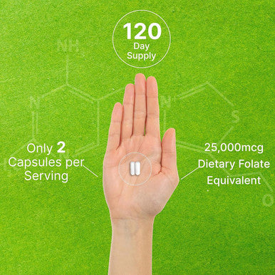 Deal Supplement L Methylfolate 15mg Per Serving 240 Veggie Capsules Active Folic Acid Form (5-MTHF) Bioavailable Methylated Folate Prenatal Energy & Brain Support Supplement Non-GMO