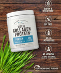 Carlyle Multi Collagen Protein Powder | 9oz | Unflavored | Types I II III V X | 20g Per Daily Dose | Non-GMO Gluten | by Herbage Farmstead
