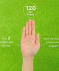 Deal Supplement Vitamin E Supplements 1000 IU Per Serving 240 Softgels Extra Strength Antioxidant Protection Bioavailable Stable Form Skin Heart Brain & Immune Support Non-GMO