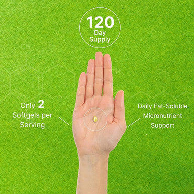 Deal Supplement Vitamin E Supplements 1000 IU Per Serving 240 Softgels Extra Strength Antioxidant Protection Bioavailable Stable Form Skin Heart Brain & Immune Support Non-GMO