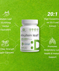 Deal Supplement Mullein Leaf Extract 20000mg 240 Veggie Capsules 4 Month Supply Natural Lung Detox Herbal Supplement Supports Respiratory & Immune Health Non-GMO Vegan
