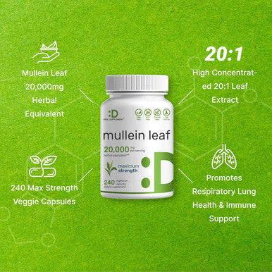 Deal Supplement Mullein Leaf Extract 20000mg 240 Veggie Capsules 4 Month Supply Natural Lung Detox Herbal Supplement Supports Respiratory & Immune Health Non-GMO Vegan