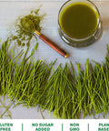 Amazing Grass Wheat Grass Tablets: 100% Whole-Leaf Wheat Grass Powder for Energy, Detox & Immunity Support, Chlorophyll Providing Greens, 200 Count