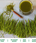 Amazing Grass Greens Trio: Greens Powder with Wheatgrass, Alfalfa, & Barley Grass, Rich Source of Chlorophyll, 30 Servings