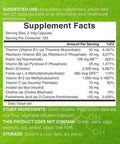Deal Supplement Bioactive Vitamin B Complex 240 Veggie Capsules - Methylated Multivitamin B Complex & Esterified Vitamin C High Potency & Easy Absorption Immune Energy & Metabolism Supplement Non-GMO