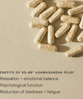 Wild Nutrition KSM-66 Ashwagandha Plus 60 Capsules