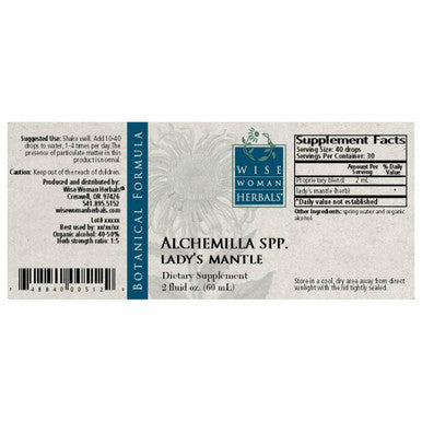 Ladys Mantle Alchemilla spp. 2 oz by Wise Woman Herbals