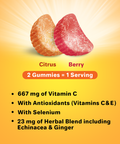 Airborne Kids Assorted Fruit Flavored Gummies, 21 count - 667mg of Vitamin C and Minerals & Herbs Immune Support