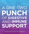 Digestive Advantage Prebiotic Fiber Plus Probiotic Gummies 65 ea