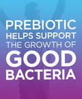 Digestive Advantage Prebiotic Fiber Plus Probiotic Gummies 65 ea