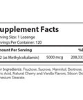 B12 Energizer 120 Lozenges by Advanced Nutrition by Zahler