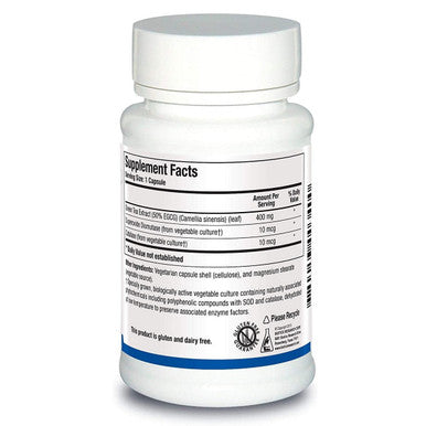 Biotics Research EGCG-200mg 60 Capsules