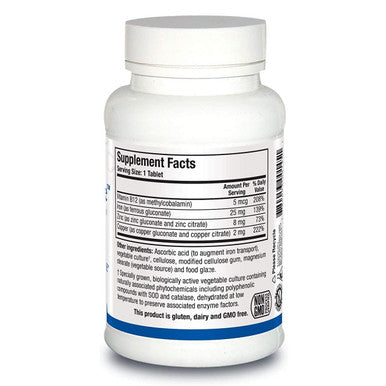 Biotics Research Fe-Zyme 100 Tablets
