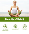 Om Mushroom Superfood Reishi Mushroom Capsules 30 Servings