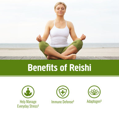 Om Mushroom Superfood Reishi Mushroom Capsules 30 Servings