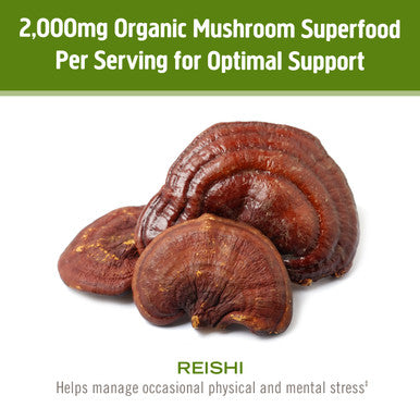 Om Mushroom Superfood Reishi Mushroom Capsules 30 Servings