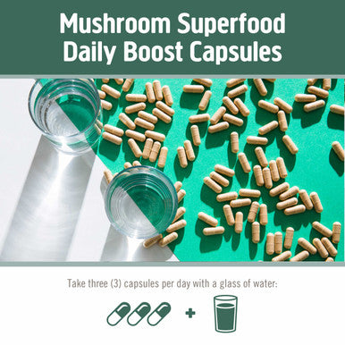 Om Mushroom Superfood Gently Zen Mushroom Capsules 30 Servings