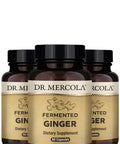 Dr. Mercola Fermented Ginger