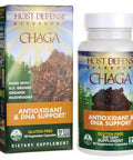 Host Defense, Chaga Capsules, Antioxidant and DNA Support, Mushroom Supplement, Unflavored, 60