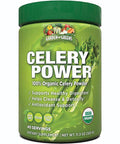 Celery Power