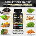 Zoyava Shilajit Shilastrength Blend & Cosmic Collagen Fusion