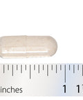 Integrative Therapeutics Fiber Formula