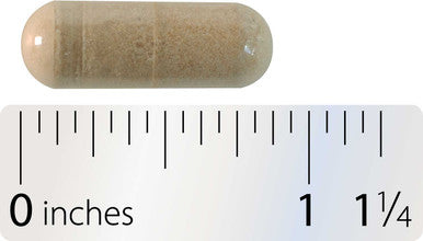 Integrative Therapeutics Neurologix