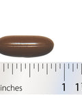 Integrative Therapeutics Permeability Factors