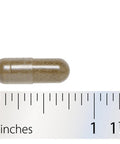 Integrative Therapeutics Vitex Extract