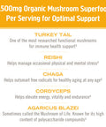 Om Mushroom Superfood Immune Multi Boost Supplement with Vitamin C 10 Single Serving Sachets / Lemon & Elderberry