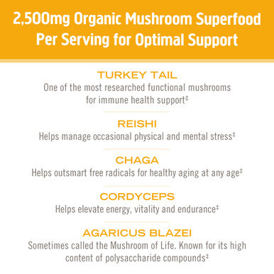 Om Mushroom Superfood Immune Multi Boost Supplement with Vitamin C 10 Single Serving Sachets / Lemon & Elderberry