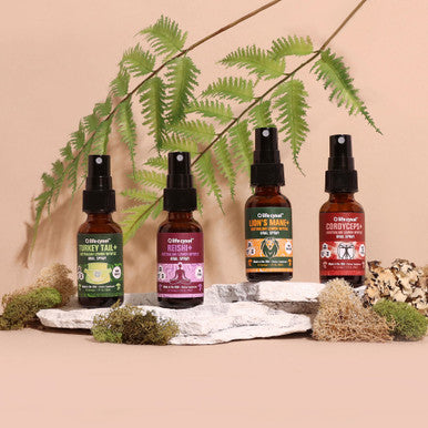 Life Cykel Reishi Mushroom + Lemon Myrtle Oral Spray, 1 oz