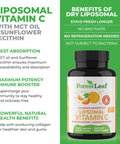 Liposomal Vitamin C