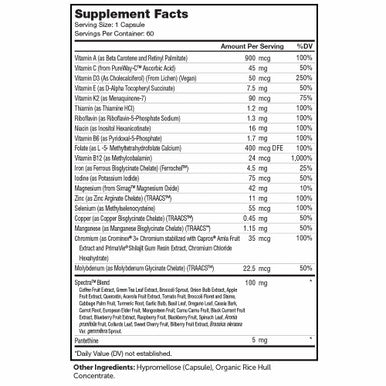 Multivitamin One Daily 60 caps by Advanced Nutrition by Zahler