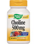 Nature's Way Choline 500 mg 100 tabs