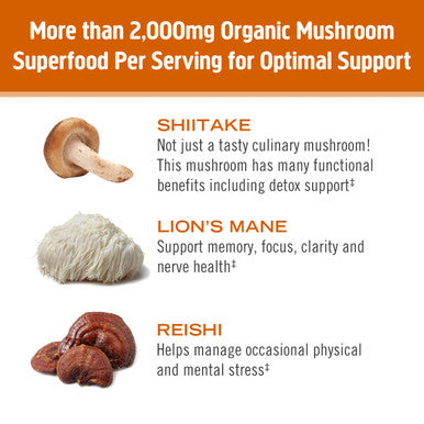 Om Mushroom Superfood Mighty Beef Bone Broth 10 Single Serving Sachets