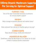 Om Mushroom Superfood Immune Multi Boost Supplement with Vitamin C 10 Single Serving Sachets / Orange & Elderberry