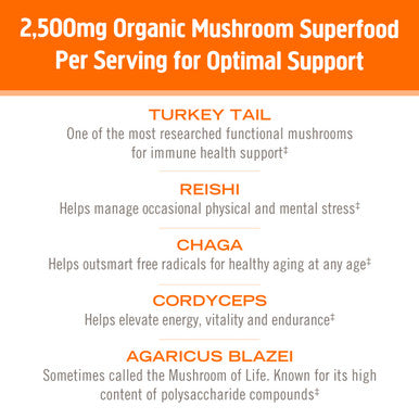Om Mushroom Superfood Immune Multi Boost Supplement with Vitamin C 10 Single Serving Sachets / Orange & Elderberry