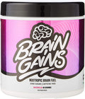 Brain Gains Nootropic Brain Fuel, Watermelon - 260g