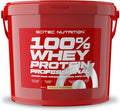 SciTec 100% Whey Protein Professional, Vanilla - 5000g